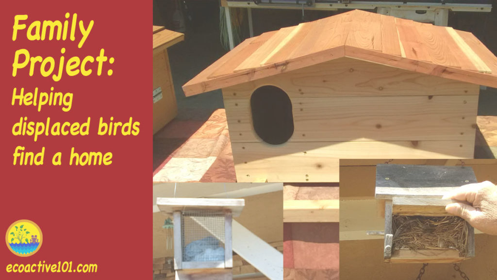 A large barn owl box, a small bird feeder and a small screened box filled with dryer lint that birds can peck out to use in building their nests. The words say, “Family Project, Helping displaced birds find a home.”