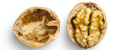 Walnut halves in the shell