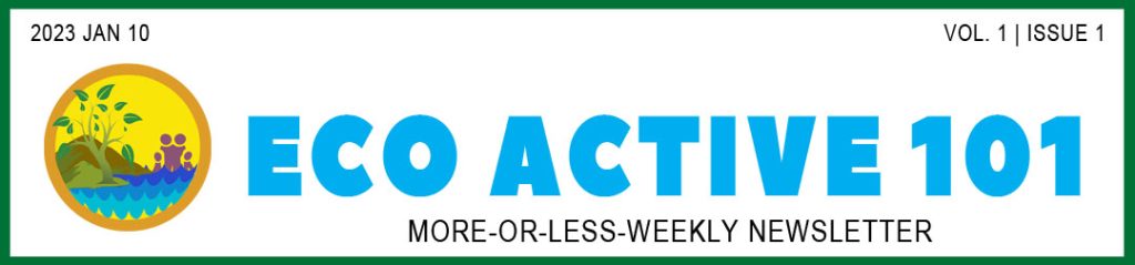 Newsletter header showing "Eco Active 101" in bold turquoise blue letters and under that, "More-or-Less-Weekly Newsletter" in black as well as the newsletter title, date, and issue number.
